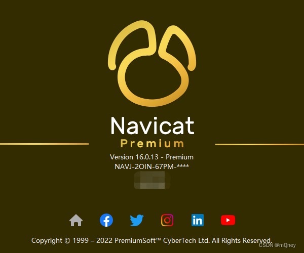 Download Navicat Premium Full Version (Win/Mac/Linux) 2023
